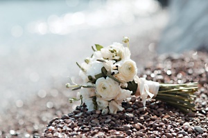 white flowers