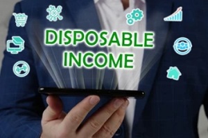 disposable income concept