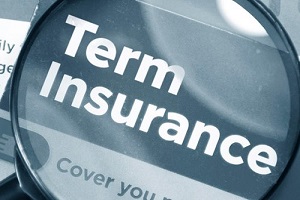 term insurance under magnifying glass