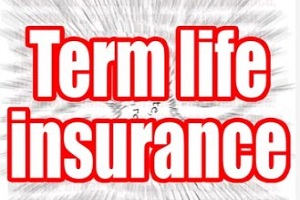 term life insurance in big red font